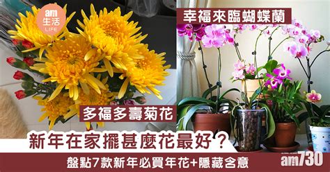 正所謂梅花入室擺一年，霉到賣屋又賣田|【農曆新年】梅花入室擺一年 霉到賣屋又賣田？！盤。